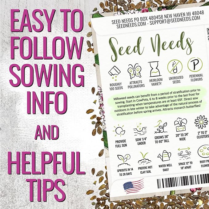 Seed Needs Milkweed Seeds for Planting Pink Swamp Asclepias incarnata - Heirloom & Untreated Perennial Flower Seed to Plant a Monarch Butterfly Garden (10 Packs)