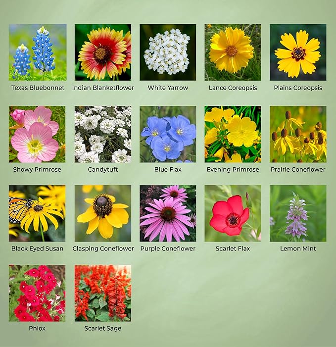 Created By Nature Oklahoma Wildflower Seed Mix, 17 Flower Varieties, 60,000 Seeds