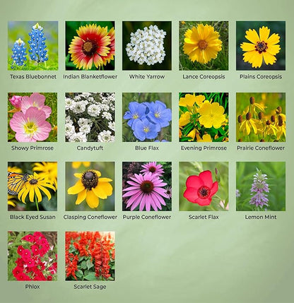 Created By Nature Oklahoma Wildflower Seed Mix, 17 Flower Varieties, 60,000 Seeds
