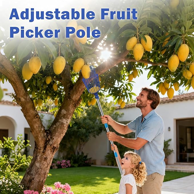 Fruit Picker Upgraded Round Claws Can Reduce Fruit Damage Lengths from 5 to 13 Feet Fruit Picker Pole with Basket Telescoping Suitable for Cherry Lemon Pear Mango Trees and More (65inch)