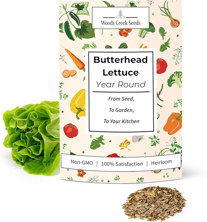 Butterhead Lettuce Seeds for Planting – All Year Round Heirloom Butter Lettuce, Heat Tolerant, Non-GMO Lettuce Seeds for Home Gardens | Woods Creek Seeds
