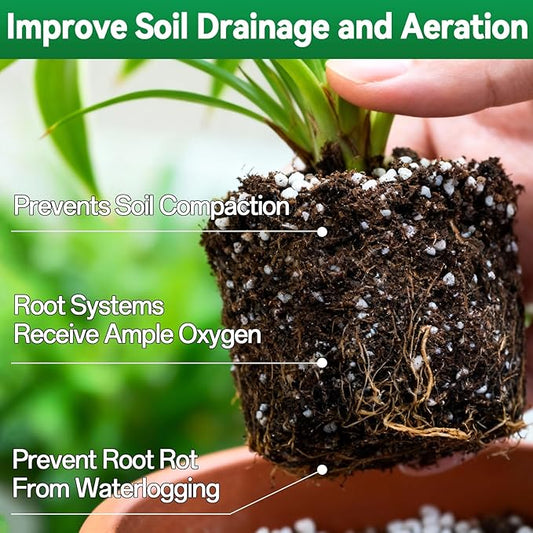 ZeeDix 6QT Organic Perlite Horticulture Soil Amendment for Plants, 3-9mm Granule Size Potted Plant Soil for Orchid Cactus Succulents Carnivorous Monstera Repotting, Indoor Outdoor Gardening