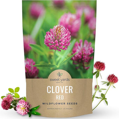 Red Clover - Bulk 1/4 Pound Pouch - 60,000 Flower Seeds for Planting - Trifolium pratense