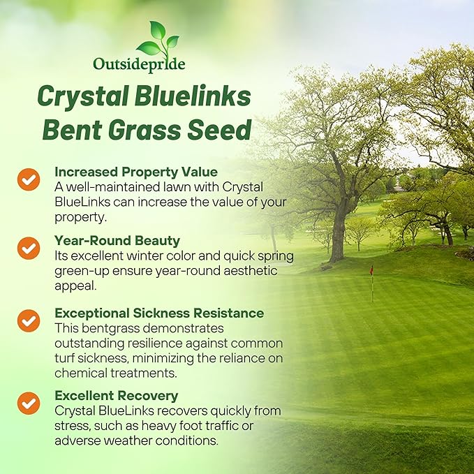 Outsidepride Crystal Bluelinks Creeping Bent Grass Seed - 25 lbs. Dense Turf Grass for Golf Greens & Putting Surfaces, Fine-Textured, Tolerant to Close Mowing for Smooth, Consistent Lawn Coverage
