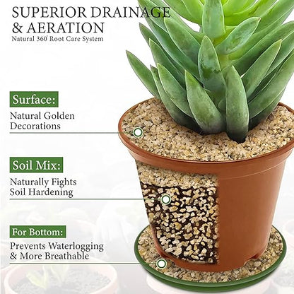 8LB Horticultural Sand for Succulents and Cactus Soil, 1-2mm Natural Coarse Sand for Plants, Multi-Purpose Silica Horticultural Grit for Aquarium, Vase Filler, Fire Pit & Garden Decor