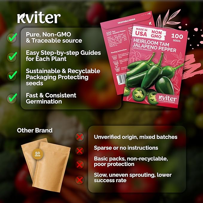 KVITER 100 Tam Jalapeno Pepper Seeds for Planting (Capsicum Annuum) – Mild Spice, Perfect Stuffer Peppers Heirloom Seed, 1000-1500 SHU Hot Jalapeno – Vegetable Seeds for Outdoor & Indoor Garden