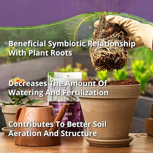 Myco Bliss Powder (5lbs) - Mycorrhizal Fungi for Soil - 5 Strain Mycorrhizal Inoculant with 1000 Propagules Per Gram - Highly Concentrated Mycorrhizae for Plants, Potting Soil, & Garden Soil