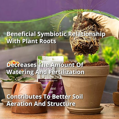 Myco Bliss Powder (200 g) - Mycorrhizal Fungi for Plants - 5 Strain Mycorrhizal Inoculant with 1000 Propagules Per Gram - Highly Concentrated Mycorrhizae for Plants, Gardening, & Potting Soil