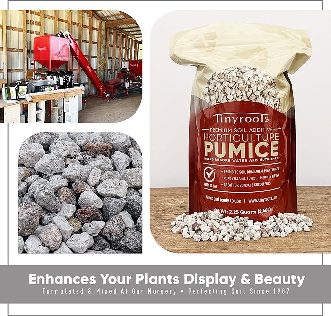 Tinyroots Horticultural Pumice for Plants - Bonsai Outlet Soil Additive for Succulents, Cactus, Bonsai & Other Plants - 100% Pure Volcanic Rocks, 1/4 inch Soil Additive, 2.25 Quarts
