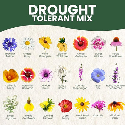 Drought Tolerant Mix – 22,000 Seeds for Planting – 2026 Season – 1 Ounce Pouch