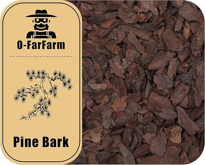Orchid Bark for Plants, Organic Pine Bark for Proper Root Development for Phalaenopsis, Cattleyas, Dendrobiums, Oncidiums, Paphiopedilums and More (10qt, Medium(12-18mm))