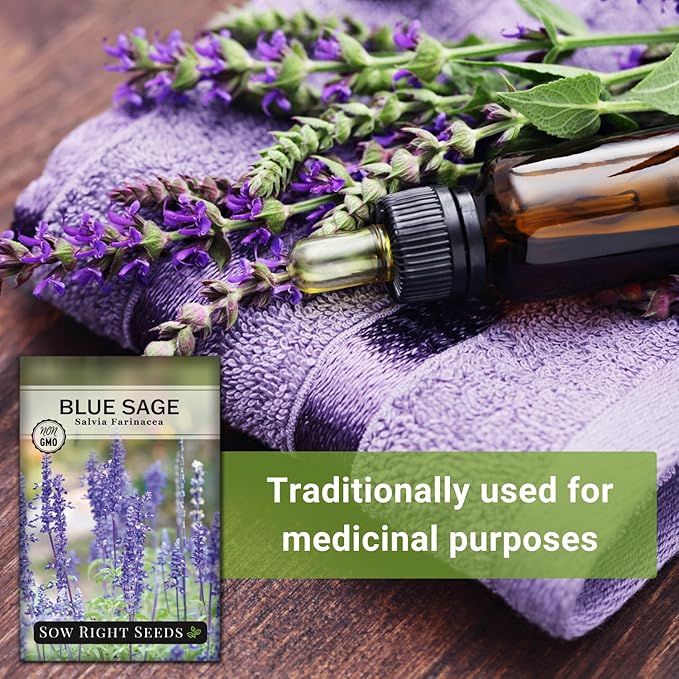 Sow Right Seeds - Blue Sage Wildflower Seed to Plant - Non-GMO Heirloom Seeds - Full Instructions for Planting and Growing Mealycup Sage or Salvia farinacea - Indoors or Outdoor - Gardening Gift (2)
