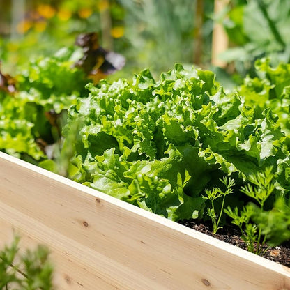 MUPATER 4x2FT Raised Garden Bed, Elevated Planter Box with Drainage Holes, Raised Garden Beds Outdoor with Legs for Herbs and Vegetables, Outdoor and Indoor, Natural Wood