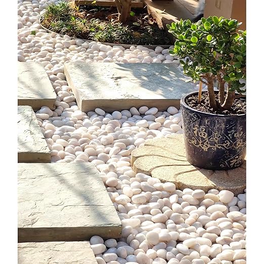 5 lbs Large White River Rocks, 2-3 inch Pebbles for Indoor Plants, Polished Decorative Stones for Planters Vase Aquarium and Outdoor Garden Landscaping Rocks