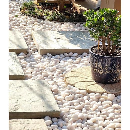 5 lbs White River Rocks, Polished Pebbles for Indoor Plants, 1-2 inch Decorative White Stones for Plants Vase Aquarium Fish Tank and Outdoor Garden Landscaping Rocks