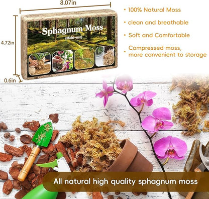 Sphagnum Moss,Sphagnum Moss for Plants,4 QT Natural Long Fibered Sphagnum Peat Moss,Premium Dried Orchid Moss for Orchids Succulents Carnivorous Potted Plant Gardening & Reptiles