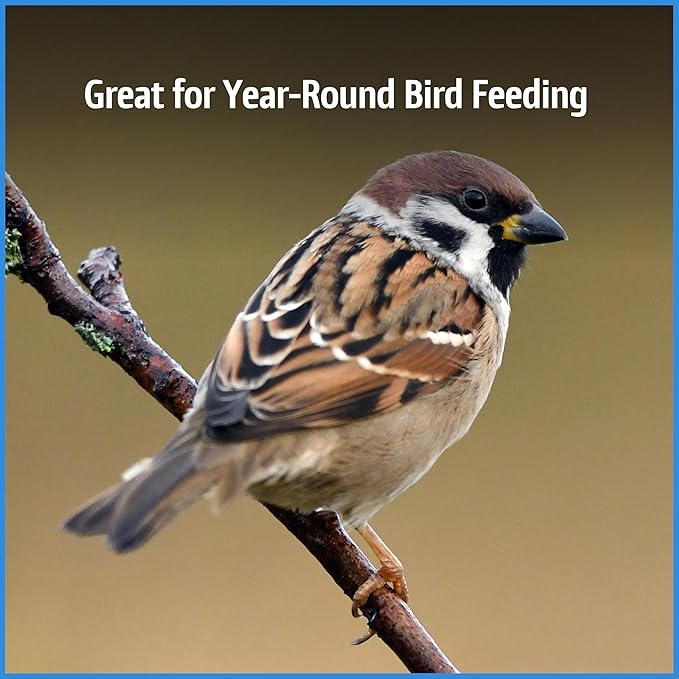 Pennington Select Chips & Bits Wild Bird Seed for Outside Feeders, High-Protein, No Hull & No Waste Bird Seed Blend, Sunflower Chips & Peanut Bits Attract Songbirds,15-lb. Bag