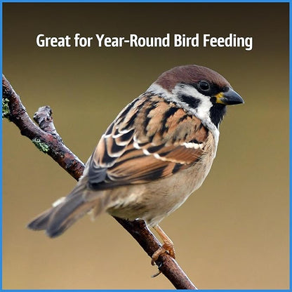 Pennington Select Chips & Bits Wild Bird Seed for Outside Feeders, High-Protein, No Hull & No Waste Bird Seed Blend, Sunflower Chips & Peanut Bits Attract Songbirds,15-lb. Bag