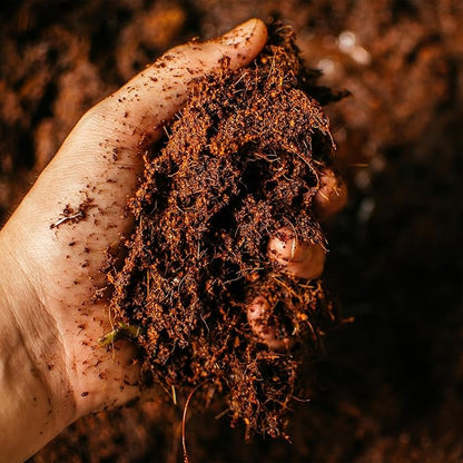 Coco Coir 250gm Bricks (10-Pack) - Organic Coco Coir for Plants & Gardening - OMRI-Listed Cocopeat for Garden Soil, Seed Starter Soil, & Mulch - Organic Coconut Bricks - Coconut Fiber Potting Mix