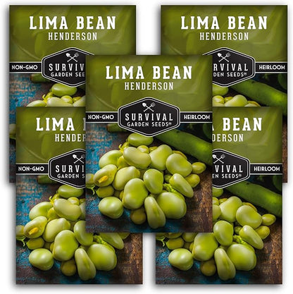 Lima Bean Seeds for Planting – Henderson Butter Bean Seeds for Gardens & Classroom Science Projects, Easy to Grow Non-GMO Heirloom Variety - Survival Garden Seeds (5 Packs)