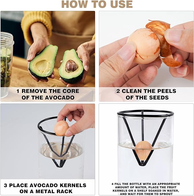 2 Pack Avocado Tree Growing Kits - Avocado Growing Vase - Avocado Seed Starter Vase Glass Plant Pot Easy Seed Sprout Starter Gift for Women Gardening Lovers Home Office (Black)