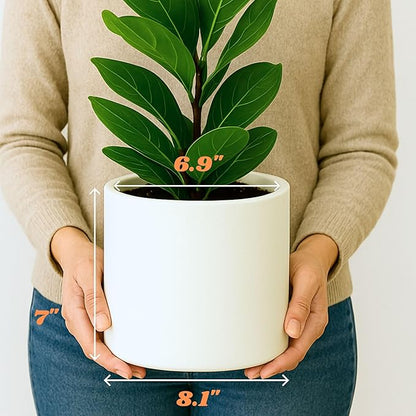 Fox & Fern 8 Inch Plant Pot with Drainage Plug — Premium Lightweight Fiberstone Matte White Planter - Indoor & Outdoor Planter - 8 Inch Pots for Plants - Weather Resistant & UV Resistant