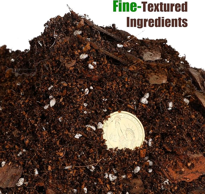 Organic Money Tree Soil Mix 2qt, Indoor Plants Potting Mix for All Potted Money Tree, Grow Healthy houseplants Indoors