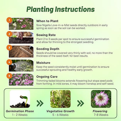 Outsidepride Jewels Rose Nigella Seeds - 1000 Pcs Annual Flower Seeds for Planting with Vibrant Blooms & Lacy, Fern-Like Foliage, Attractive Cut Flower for Small Garden Spaces & Floral Arrangements