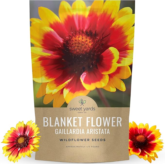Blanket Flower – Gaillardia aristata – Large 4 Ounce Packet – 36,000 Flower Seeds for Planting