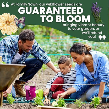 Midwest Regional Mix – 14,000 Seeds for Planting – 2026 Season – 1 Ounce Pouch