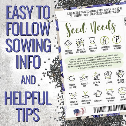 Seed Needs Sapphire Blue Sage Seeds for Planting - Heirloom & Open Pollinated Salvia - Grow a Butterfly Garden with Perennial Flowering Plants (1 Pack)