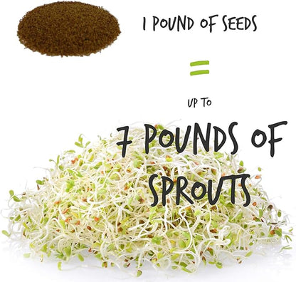 Handy Pantry Organic Alfalfa Seeds for Sprouting 1 lb – Microgreens and Sprout Seeds