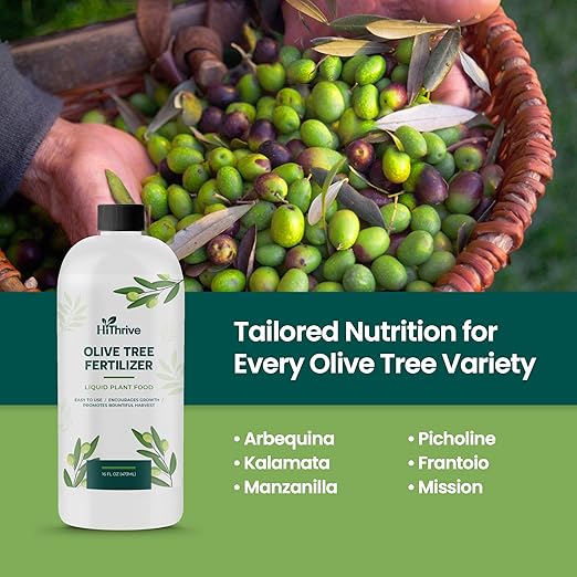 16oz Olive Tree Fertilizer – Makes 16 Gallons of Olive Plant Food – 2-in-1 Liquid Plant Food with Macronutrients + Micronutrients for Lush Foliage, Strong Roots, Bountiful Harvests & Plump Fruits