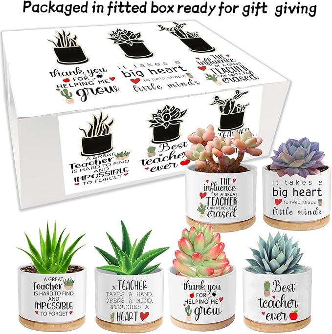 Teacher Appreciation Gifts for Women Bulk 6 Pieces Succulent Pots, 3.15 Inch Ceramic Small Plant Pots with Drainage and Bamboo Tray, Funny Christmas Birthday Retirement Thanksgiving Gifts for Teachers