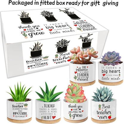 Teacher Appreciation Gifts for Women Bulk 6 Pieces Succulent Pots, 3.15 Inch Ceramic Small Plant Pots with Drainage and Bamboo Tray, Funny Christmas Birthday Retirement Thanksgiving Gifts for Teachers