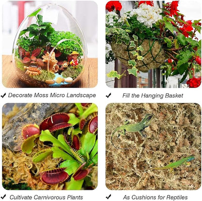 Halatool 6OZ Natural Sphagnum Moss for Plants 8 QT Premium Peat Moss Dried Long Fiber Orchid Moss for Orchid Repotting Carnivorous Succulents Garden Flowers Crafts Terrarium and Reptiles