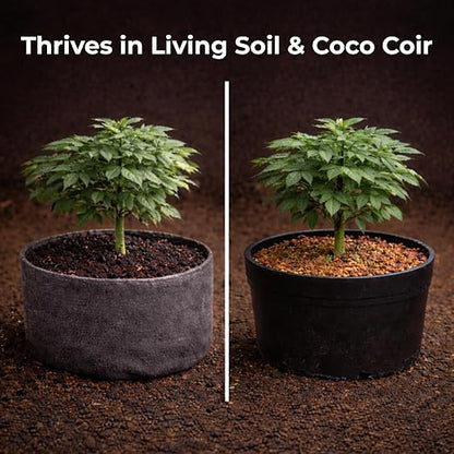 Real Growers Recharge – 8oz | Mycorrhizae Soil Microbe Inoculant for Living Soil & Coco Coir | Improves Nutrient Uptake & Root Growth