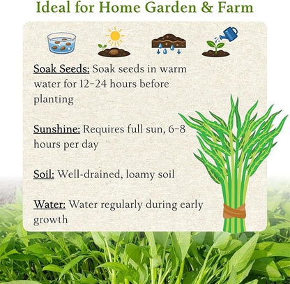 2000+ Water Spinach Seeds - Bulk Pack Kong Xin CAI Vegetable & Kangkong Seeds for Planting, Planting Guide for Easy Grow, for Container Gardening & Home Beds