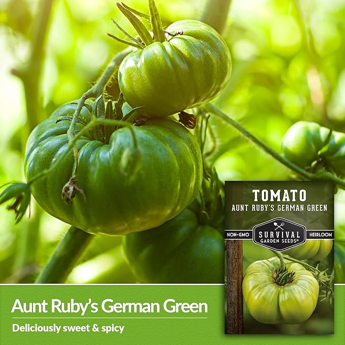 Aunt Ruby’s German Green Tomato Seeds for Planting – Heirloom Indeterminate Variety with Sweet Flavor – Non-GMO Open-Pollinated Green-When-Ripe Tomatoes – Survival Garden Seeds (2 Pack)