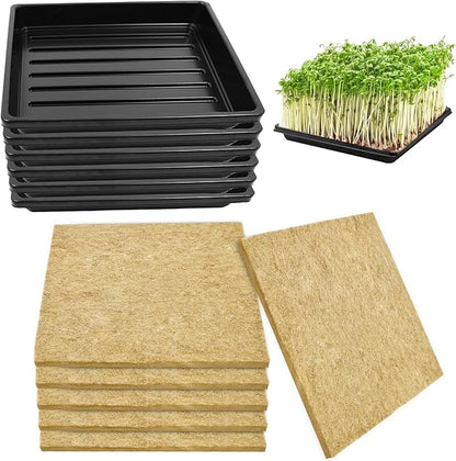 6Set Microgreens Growing Mat with Tray, Microgreen Growing Kit 10″×10″ Wheatgrass Seed Sprouting Starter Mat Hemp Fiber Grow Tray Hydroponic Jute Pads Indoor Organic Production for Germination Sprouts