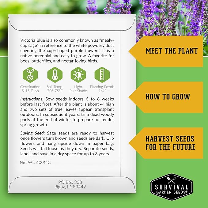 Survival Garden Seeds - Victoria Blue Sage Seed for Planting - 3 Packets with Instructions to Plant and Grow Mealycup Sage or Salvia Farinacea in Your Home Vegetable Garden - Non-GMO Heirloom Variety