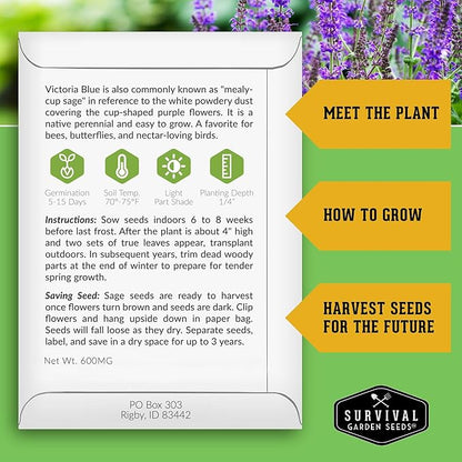 Survival Garden Seeds - Victoria Blue Sage Seed for Planting - 5 Packets with Instructions to Plant and Grow Mealycup Sage or Salvia Farinacea in Your Home Vegetable Garden - Non-GMO Heirloom Variety