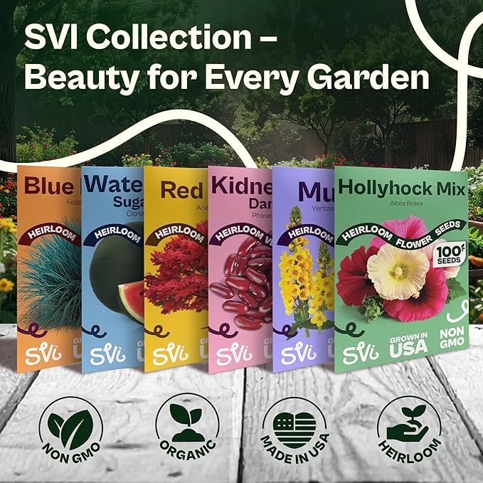 SVI 800 Bachelor Button Seeds for Planting (Centaurea cyanus) – Cornflower, Wildflower Mix Seed Packets – Heirloom Flower Seeds to Plant Outside in Garden, Borders, and Containers
