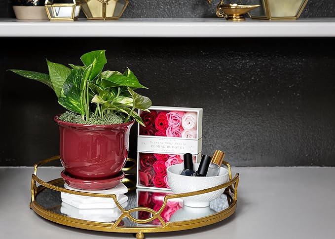Garden & Home Red 6 Inch Indoor Ceramic Plant Pot with an Attached Saucer and Drainage Hole for House Plants, Herbs, Flowers, Succulent Plants, Snake Plants, Gifts for Mom