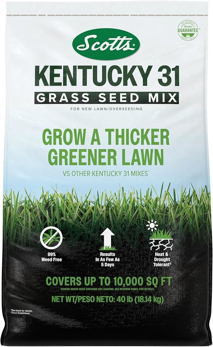 Scotts Kentucky 31 Grass Seed Mix for New Lawns or Overseeding - Lawn Grass Seed That Grows Thicker and Greener vs. Other Kentucky 31 Mixes, Covers up to 10,000 sq. ft.