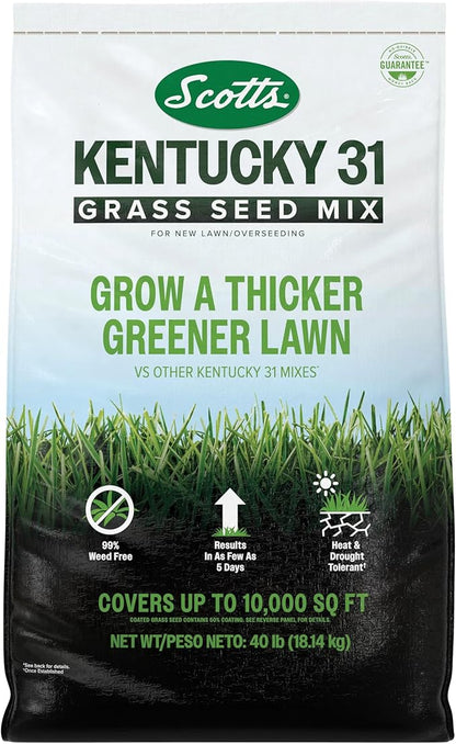 Scotts Kentucky 31 Grass Seed Mix for New Lawns or Overseeding - Lawn Grass Seed That Grows Thicker and Greener vs. Other Kentucky 31 Mixes, Covers up to 10,000 sq. ft.