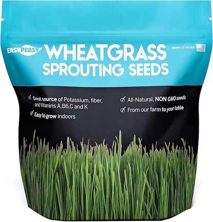 Wheatgrass Seeds | Non GMO | Grown in USA Wheat Grass Seeds | from Our Farm to Your Table (10 Pound)