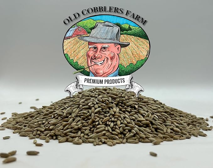 Old Cobblers Farm™ Wicked Tuff Turf Winter Rye for Lawn No Till Food Plot Seed Fall Cover Crop Mix (5 lbs | 10 lbs | 15 lbs | 20 lbs) (20 lb)
