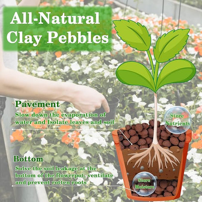 Legigo 4 LB Organic Leca Clay Pebbles for Plants, 4mm-16mm 100% Natural Leca Balls for Indoor Plants, Hydroton Clay Pebbles for Plants Hydroponic Aquaponics Growing Orchid Drainage Terrarium