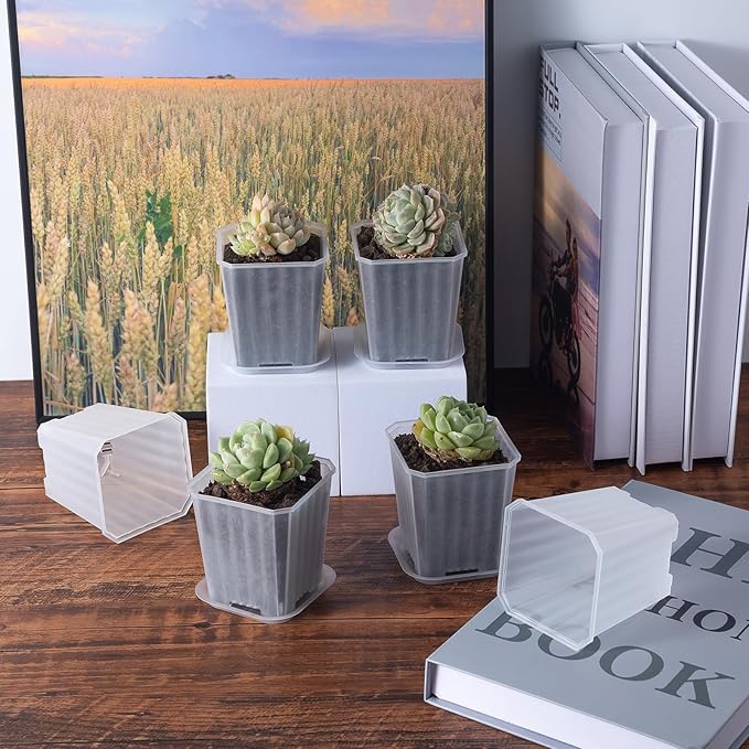 foxany 3 Inch Clear Nursery Pots, 30 Pcs Thick Plastic Plant Pot, Square Flower Planting Pots Variety Pack, Seedling Planter Starter Pots with Saucers for Garden